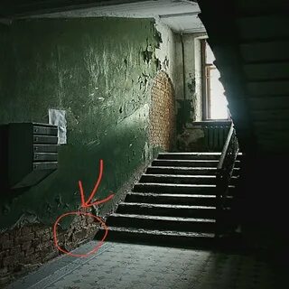 Скажи подъезд