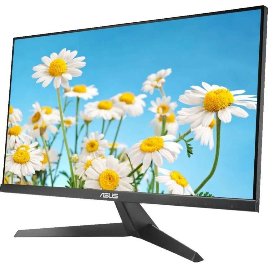 ASUS vy249he. Монитор ASUS vy249. Монитор 24 ASUS vy249he. Монитор ASUS 23.8" vy249he-w. Asus vy249hge