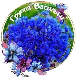 Песня василек