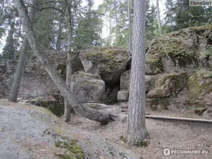 Монрепо бесплатное посещение