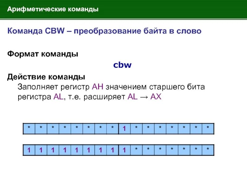 Формат байта. Формат байта