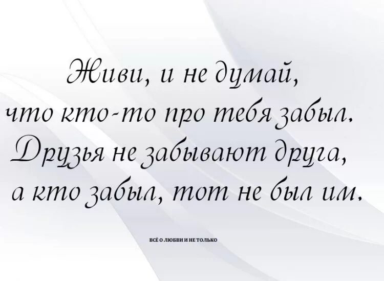 Это жизнь о моем друге. Цитаты про друзей. Цитаты про дружбу. Высказывания о дружбе и друзьях. Цитаты про друзей короткие.