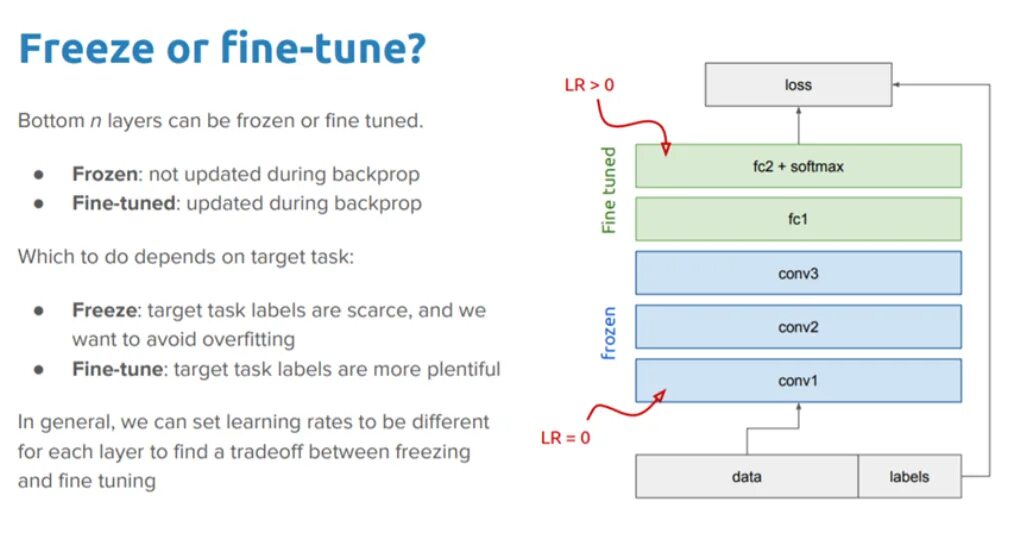 Fine tuning models. Fine tuning transfer learning. fine tuning cnn. backprop схема. fine tuning устройство.