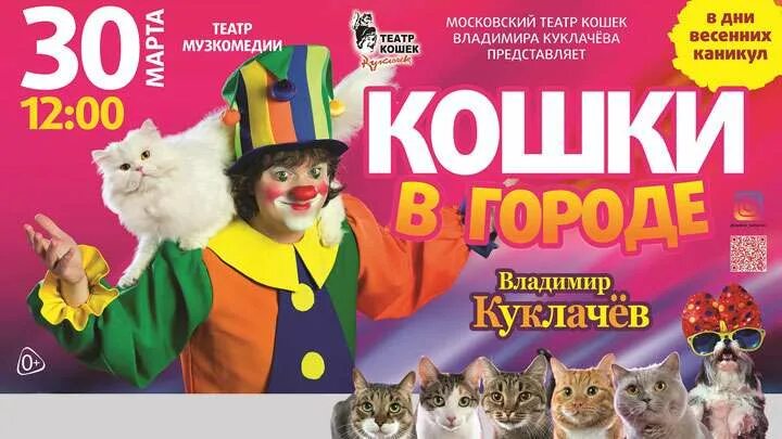 Театр кошек Куклачева афиша. Афиша спектакля Cats. Спектакль кошки. Куклачев афиша. Кошки куклачева билеты москва