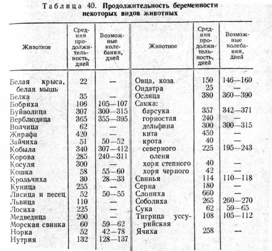 Таблица родов по месяцам Календарь по дате беременности