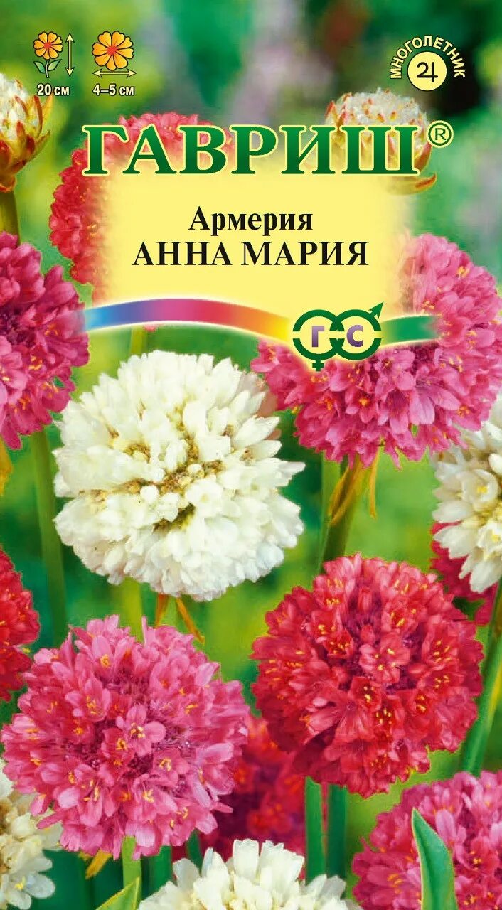 Армерия, смесь окрасок (92418): купить семена почтой в Беларуси интернет-магазин