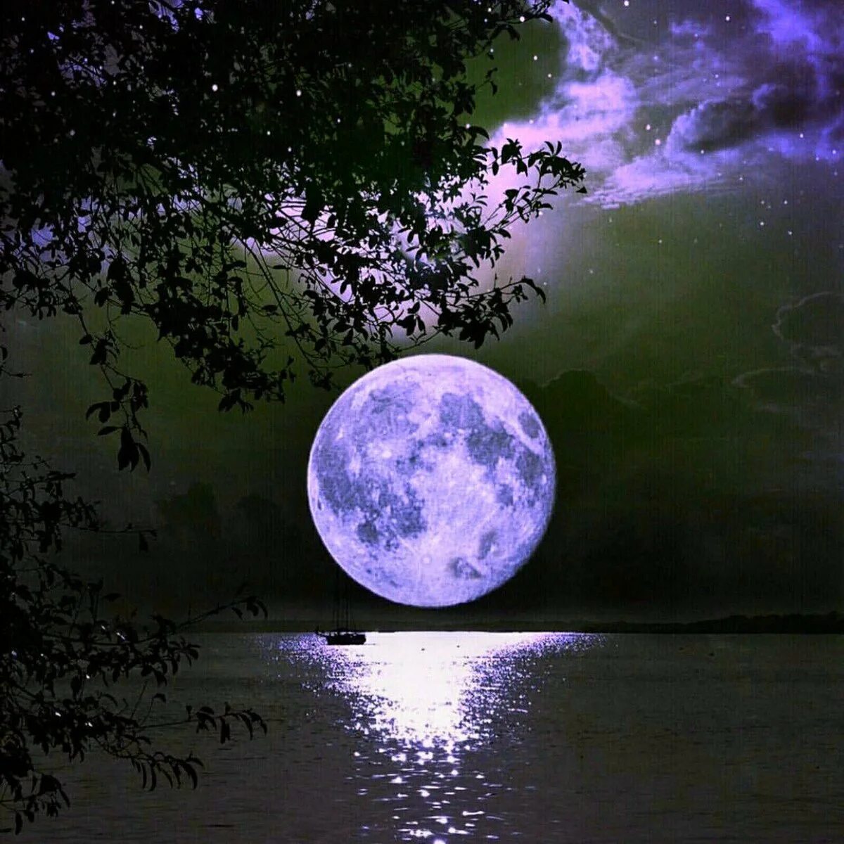 Огромная Луна. Красивая Луна. Луна картинки. Яркая Луна. Луна сама света