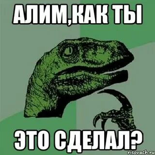 Больше не надо алим