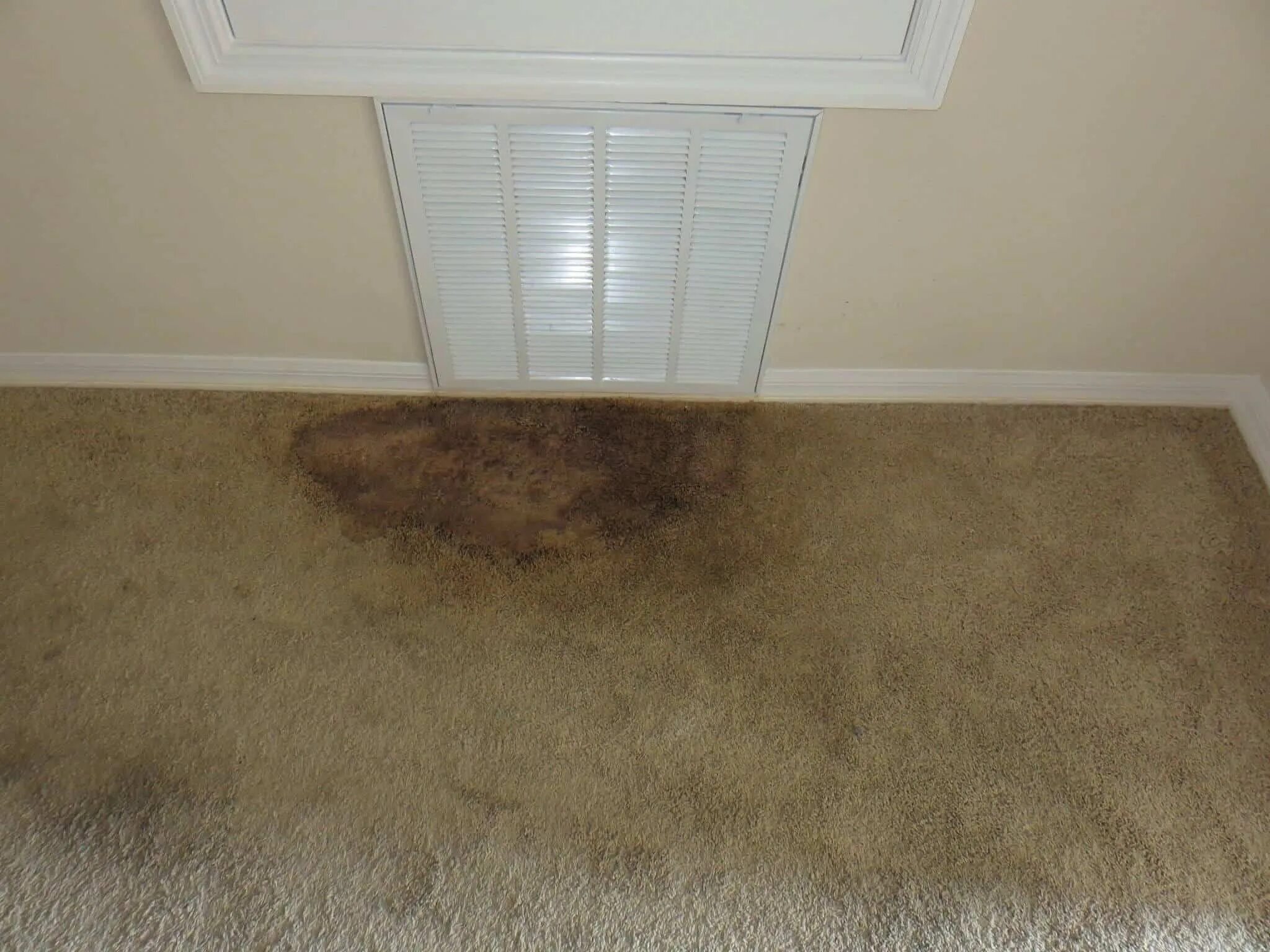 Dirty floor. Carpet Damage. Mold removal from Carpet. Black Mold on Carpet. Ковер под кроватью на мраморной плитке.