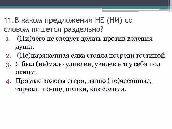 Ни ни какое предложение. В каком предложении не пишется раздельно.