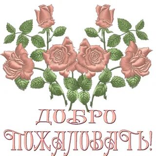 Моим цветам совсем не рада