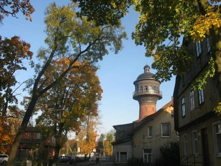 Золотая осень: 2. Зеленоградск: sezonoj - ЖЖ