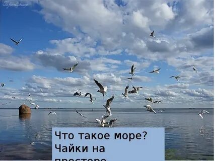 Прочитано на просторах