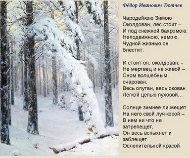Зима обрядила сосны ели в снеговые шубы