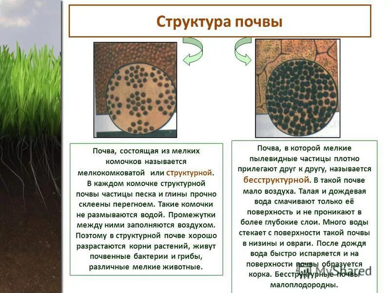 Структура почвы. Почва структура почвы. Бесструктурная почва. Пылеватая структура почвы.