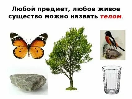 Как называют любой предмет любое живое существо