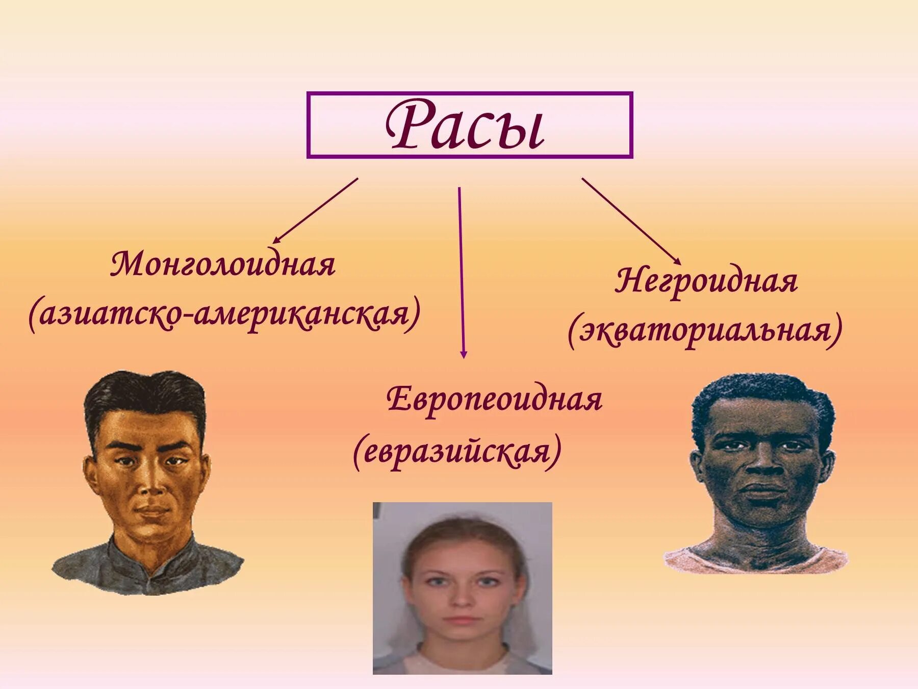 Расы человека является. Расы европеоидная монголоидная экваториальная европеоидная. европеоидная монголоидная негроидная раса. расы на земле. три основных расы.