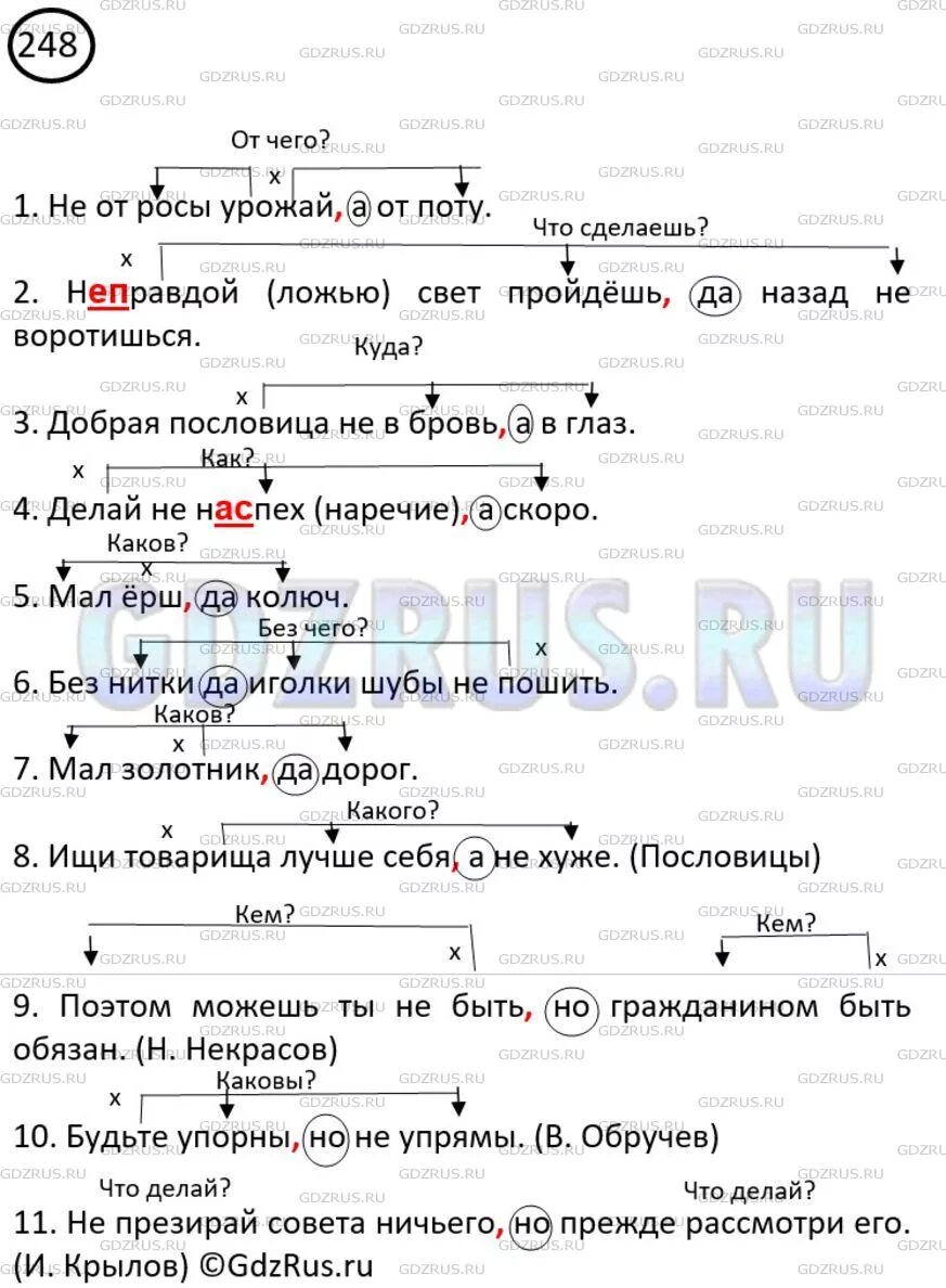 Русский язык номер 248. Русский язык 8 класс упражнение 248. Русский 8 класс упражнение 248. Русский 8 класс упражнение 248. Упражнение 248 по русскому языку 8 класс.