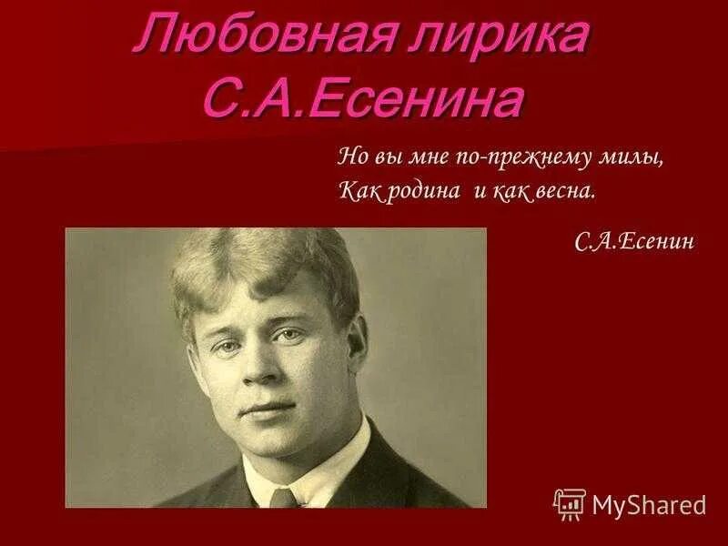 Тема любви в лирике Есенина. Есенин тема любви. Любовная тема в лирике Есенина. Примеры лирики есенина