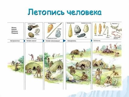 Эволюция жизни человека на земле