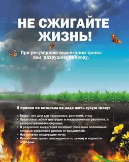 Про пал