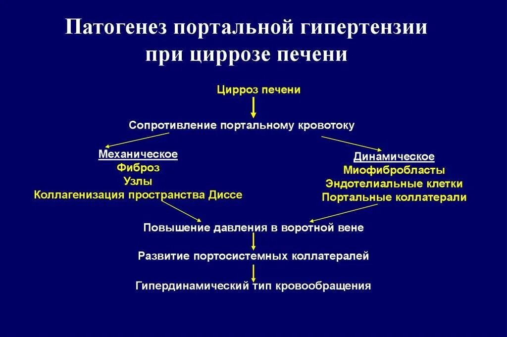 Патогенез и клиническая картина. Синдром портальной гипертензии механизмы развития. Механизмы развития синдромы цирроза печени. Механизм развития портальной гипертензии при циррозе печени. Внутрипеченочные механизмы развития портальной гипертензии.