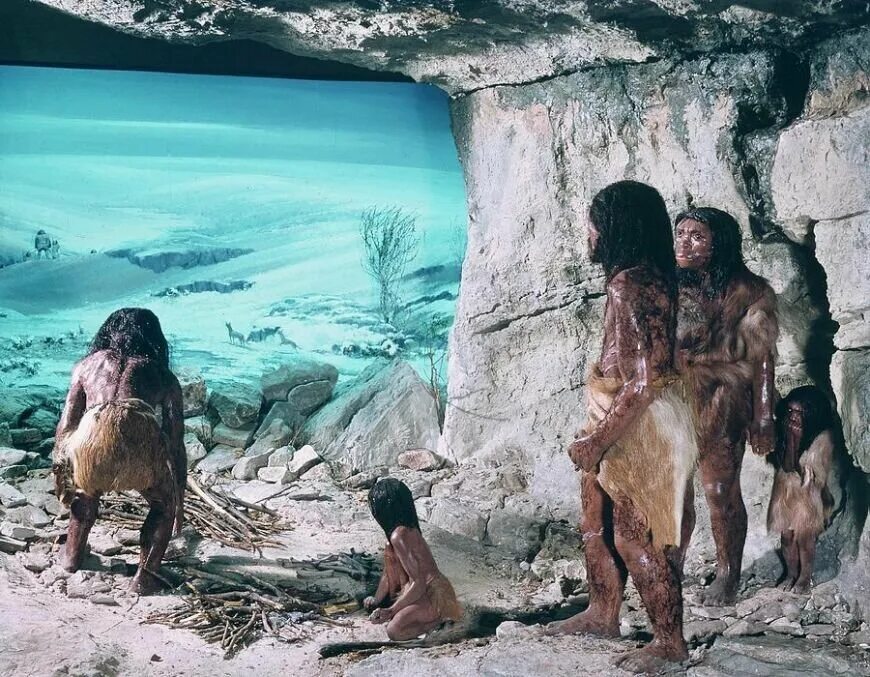 Жить как первобытный. Каменный век неандертальцы. Неандерталец Ледниковый период. Древние люди неандертальцы. Древние люди - Палеоантропы, неандертальцы.