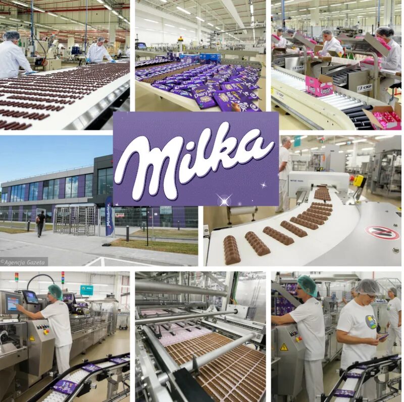 Завод Милка. Milka фабрики. Фабрика шоколада Милка. Завод Milka в России. Милка фабрика