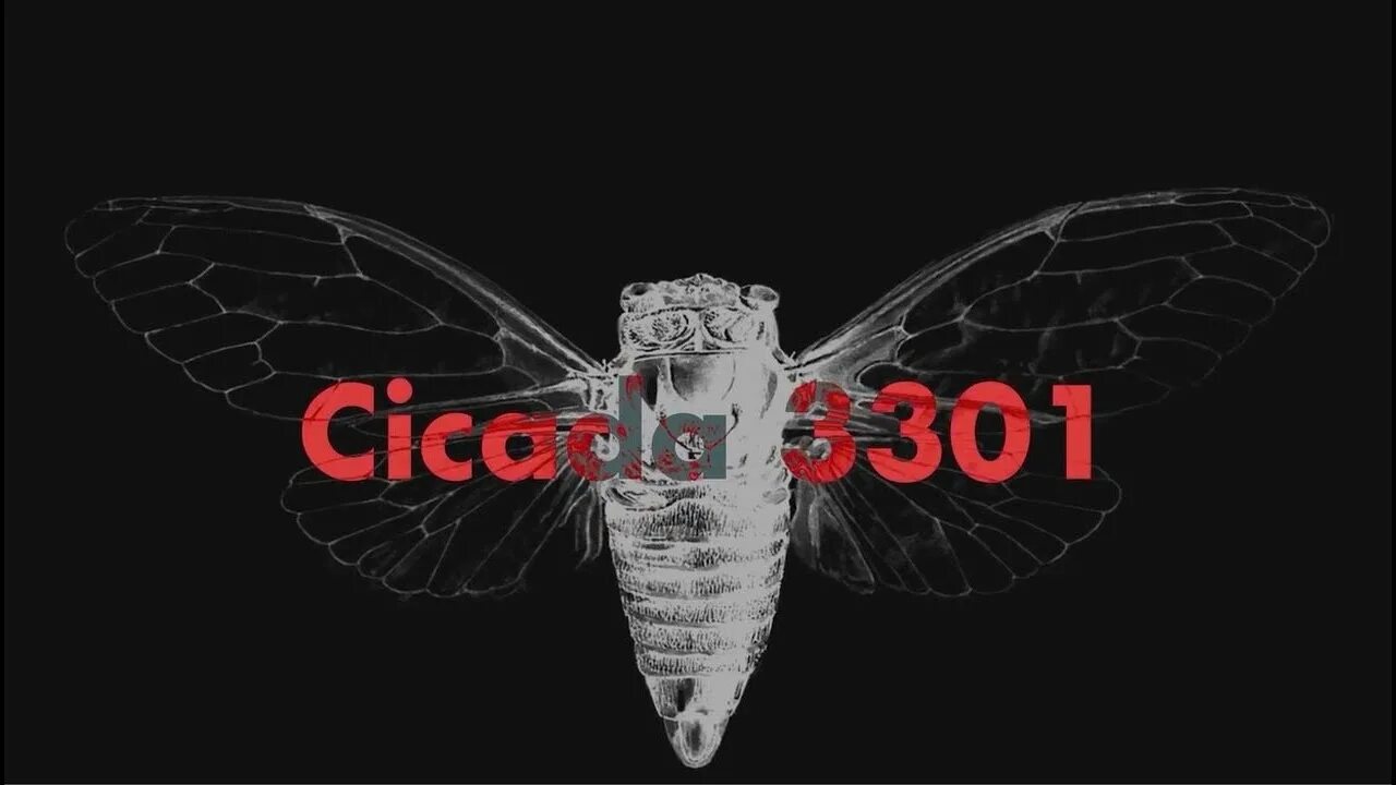Цикада 33 0. Цикада 33 0. Цикада 3310. Цикада 33 0. Цикада головоломка.
