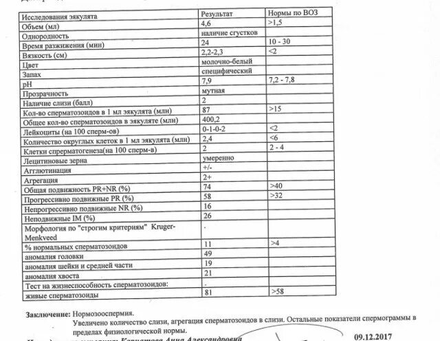 Лейкоциты в спермограмме. Лейкоциты в спермограмме