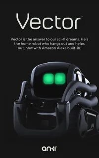 Ran bot