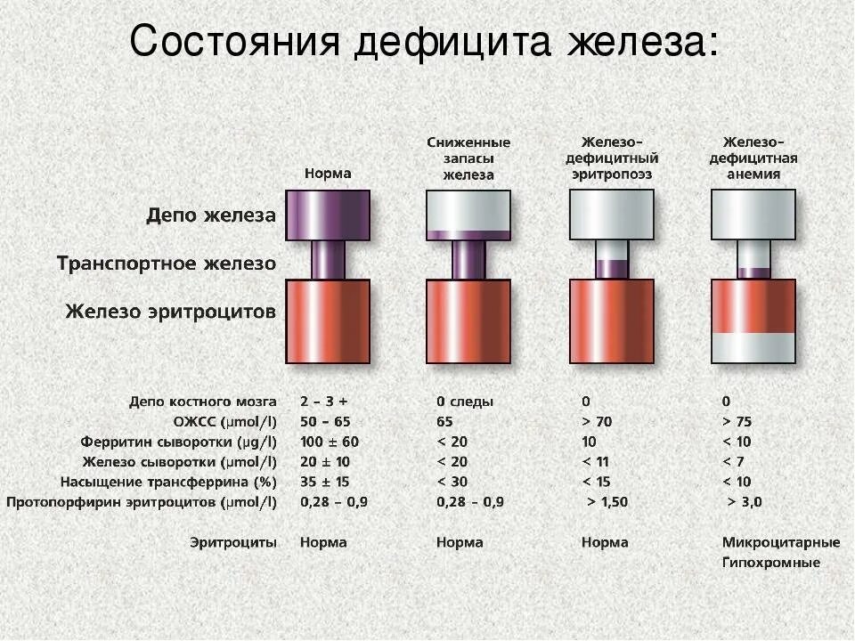 Анемия матки