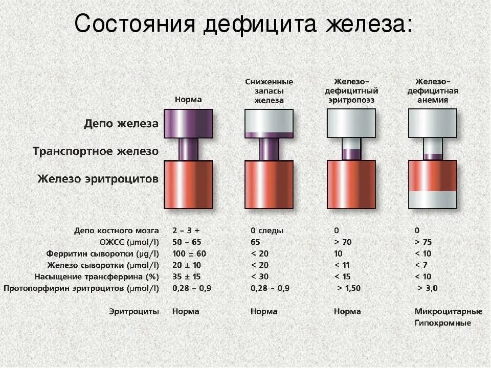 Показатели гемоглобин, ферритин сывороточное железо. Железо крови при железодефицитной анемии. Признаки дефицита железа. Гемоглобин ферритин железо показатели нормы.