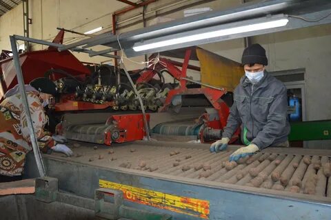 Работу таврическое омская область