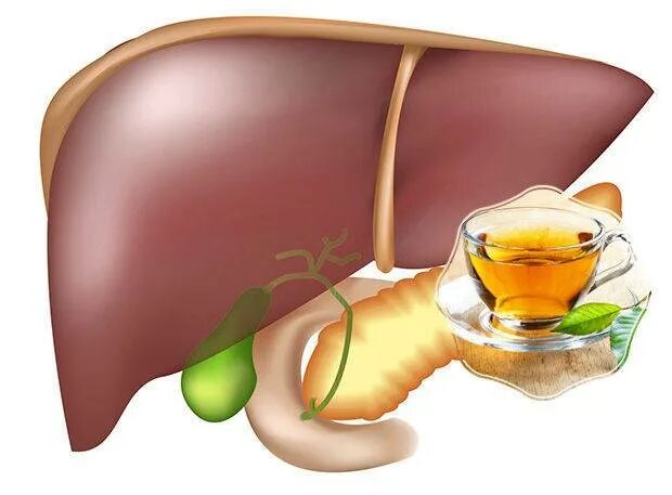 Польза чая для печени. Чай для печени. Чай для желчного пузыря. Влияние кофе на печень и желчный. Чай больная печень.