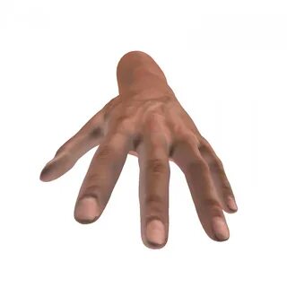 Real hands