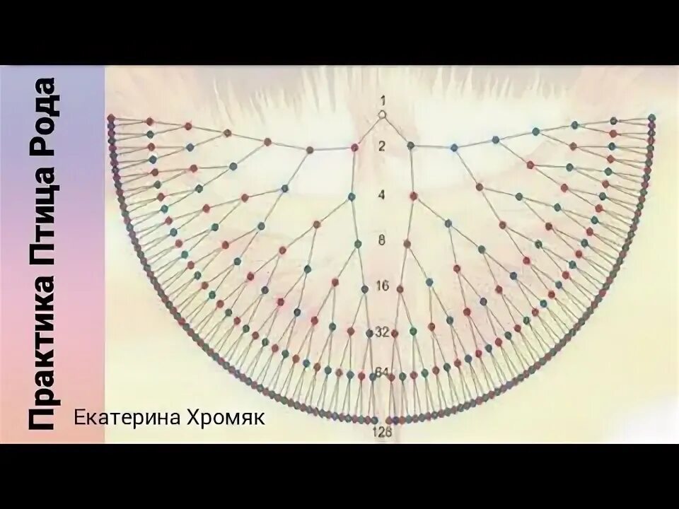 Крылья рода 7 поколений. Родовая птица. Птица рода схема. Крылья рода схема. Сила рода птица.
