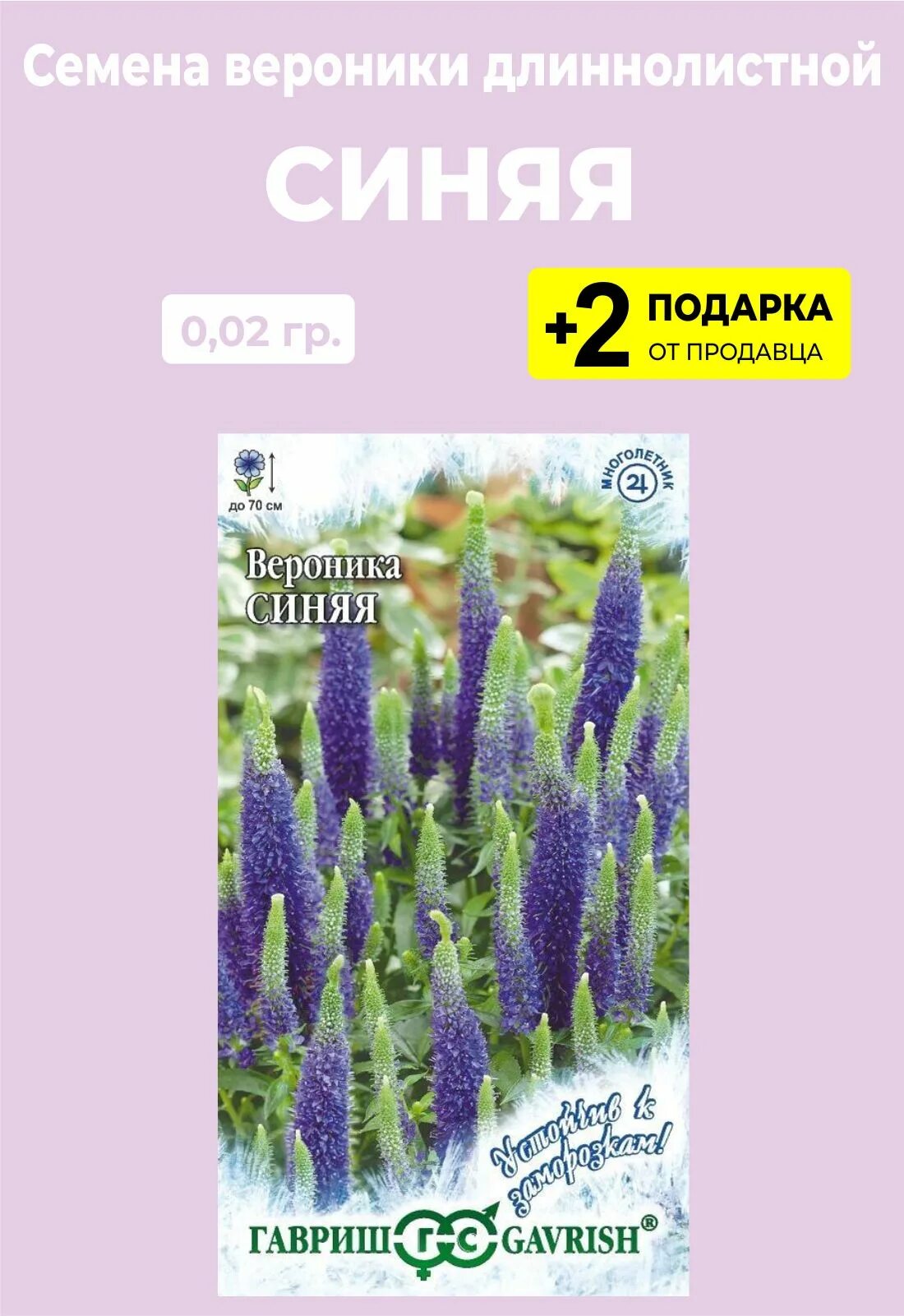 Вероника ЛЕТО LER83577560 купить по выгодным ценам в интернет-магазине OZON (5