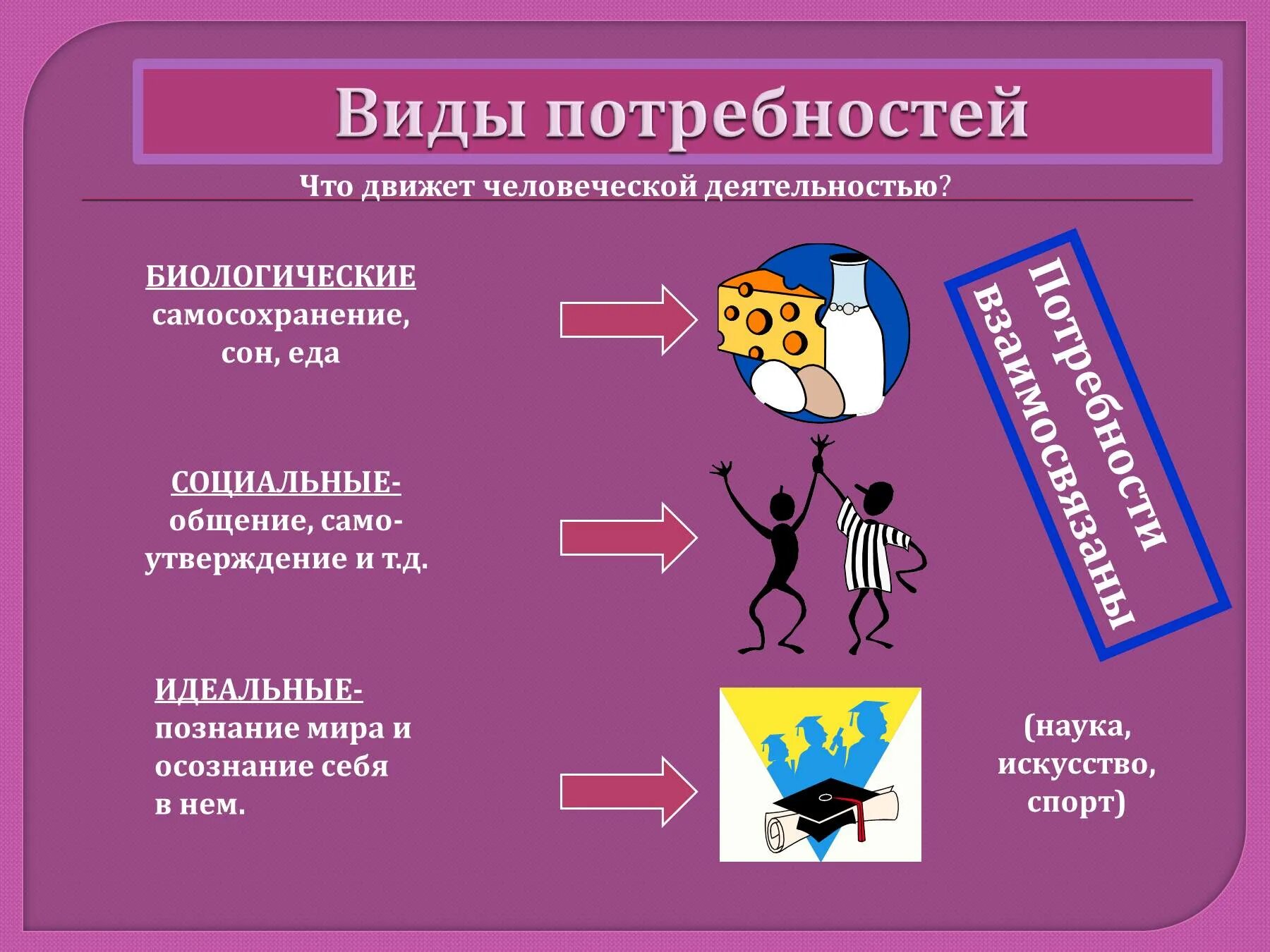 Что относится к биологическим потребностям. Что относится к биологическим потребностям