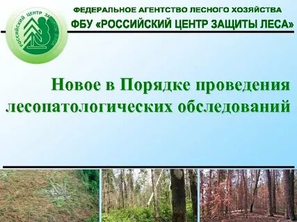 Акты лесопатологического обследования