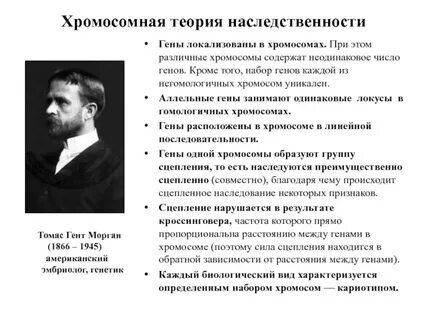 Теория генов
