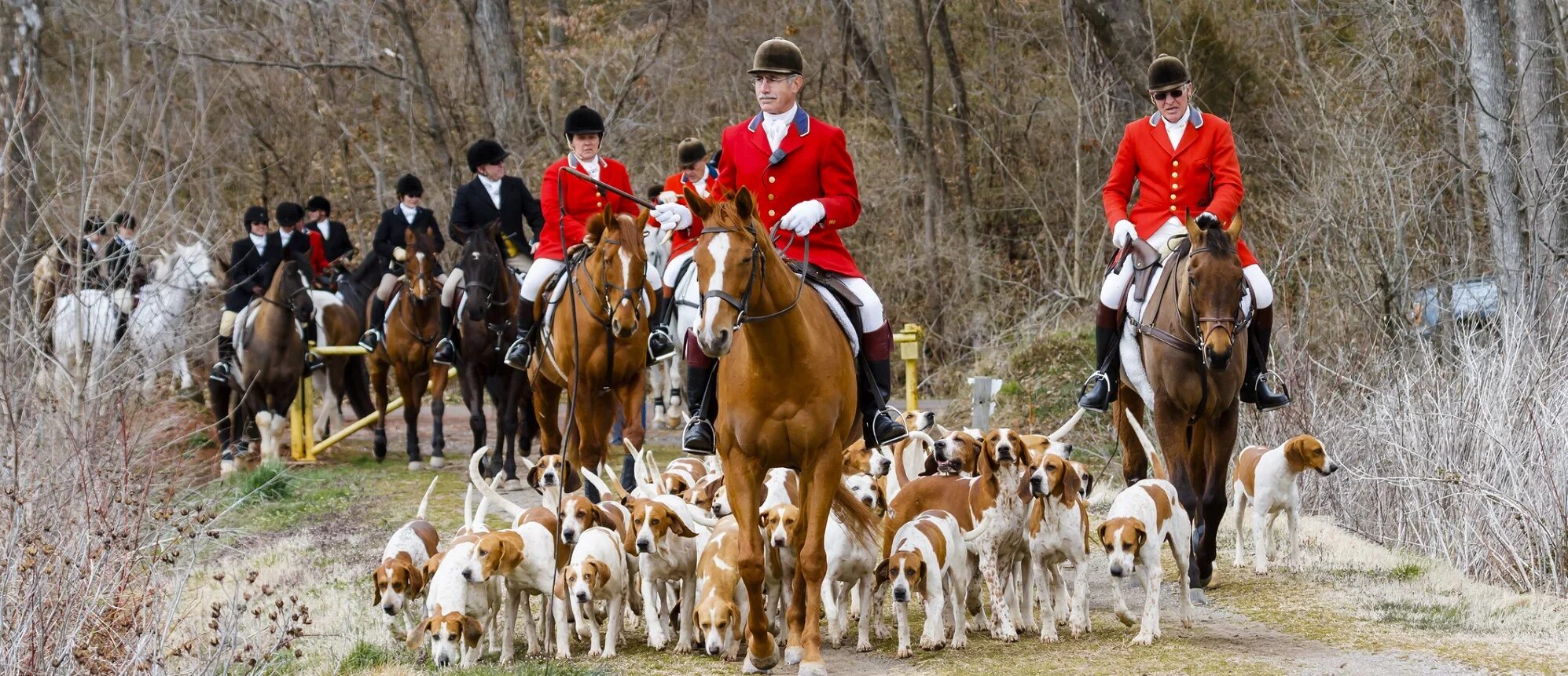 Fox hunting. Фокс Хантинг. Охота на Лис в Англии. Лисья охота в Англии. Парфорсная охота.