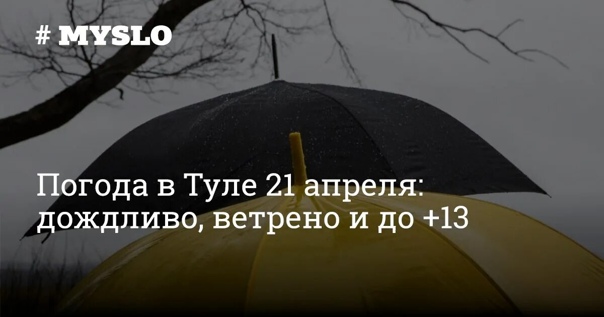 21 апреля тула. 21 апреля тула