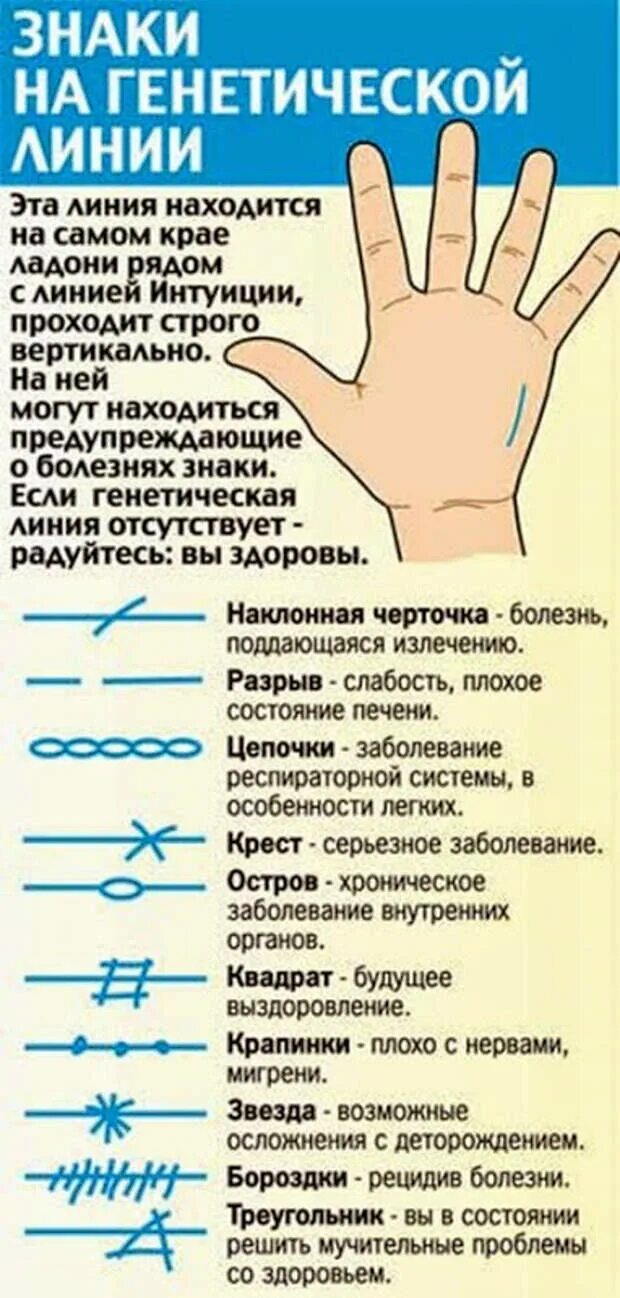 Ладонь описание. Обозначение линий на ладони правой руки. обозначения линий на ладони левой руки. линия руки обозначения на левой руке. хиромантия ладонь обозначения.