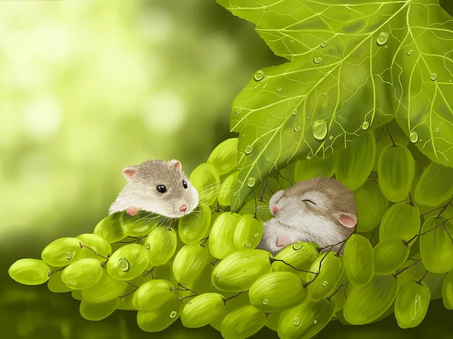 Мыши виноград. Цифровая живопись Veronica Minozzi. Veronica Minozzi художница. Хомяк и мышь.