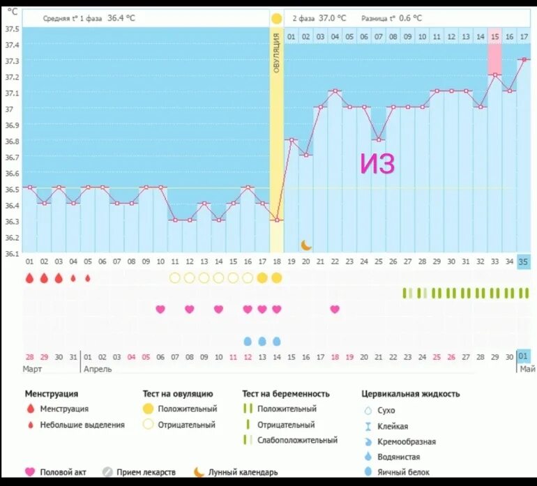 На 8 цикл можно забеременеть. Имплантационное западение базальной температуры. Имплантация график базальной температуры. Имплантационное западение на графике БТ. График имплантационного западения.