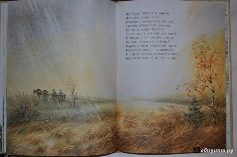 И суриков лето стихотворение. Стихи Ивана Сурикова. Стихи Суриков с иллюстрацией.