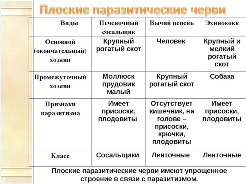 Признаки плоских червей таблица 7 класс. Сравнительная характеристика плоских червей паразитов. сравнительная характеристика плоские черви паразиты 7 класс. таблица паразитические черви 7 класс биология. паразитические плоские черви таблица 7 класс.
