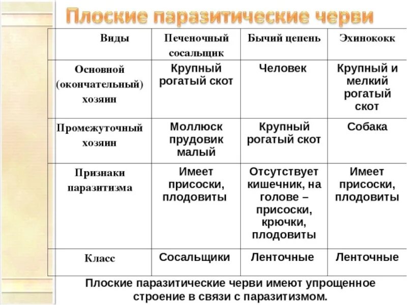 В отличии от круглых. Сравнительная характеристика плоских червей паразитов. Сравнительная характеристика плоские черви паразиты 7 класс. Таблица паразитические черви 7 класс биология. Паразитические плоские черви таблица 7 класс.