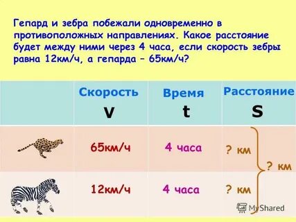 Сколько километров в час 21 скорость